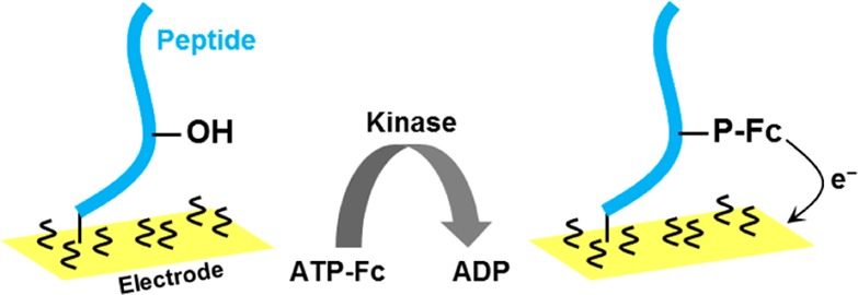 Figure 32