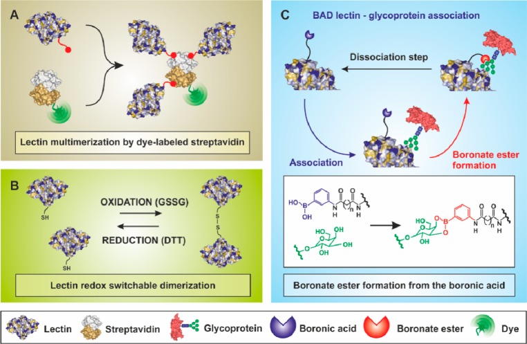 Figure 25