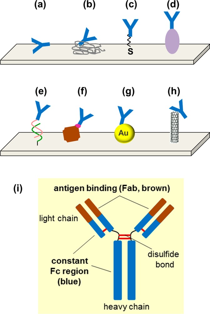 Figure 34