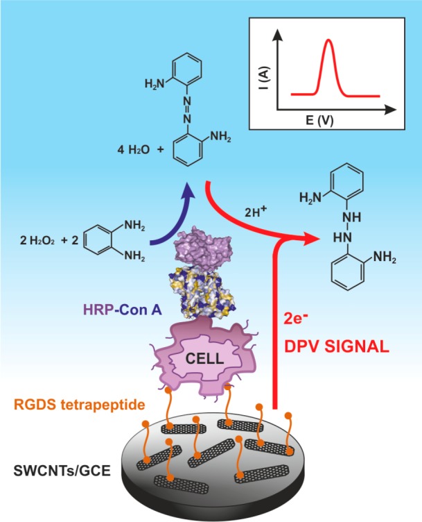 Figure 38