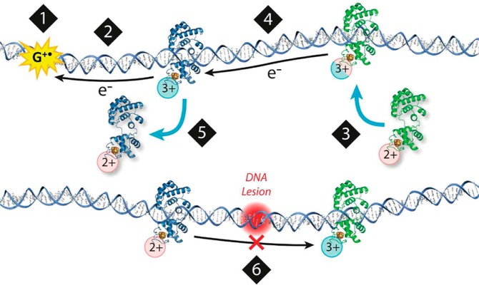 Figure 17