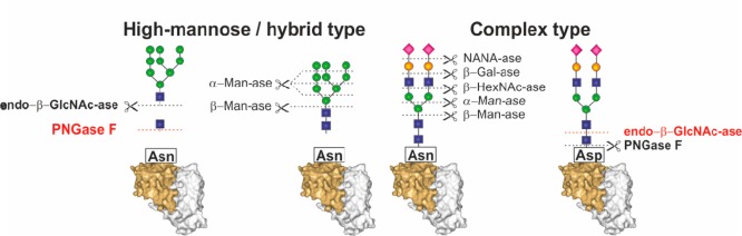 Figure 22