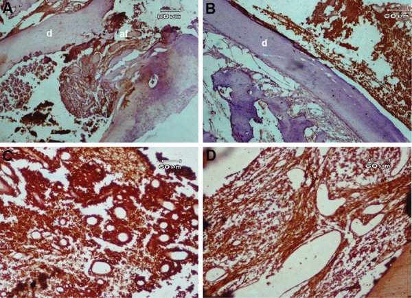 Fig.3