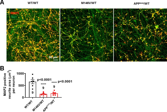 Figure 2—figure supplement 1.