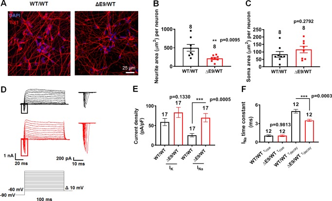 Figure 2—figure supplement 2.