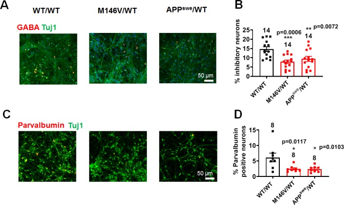 Figure 5—figure supplement 1.