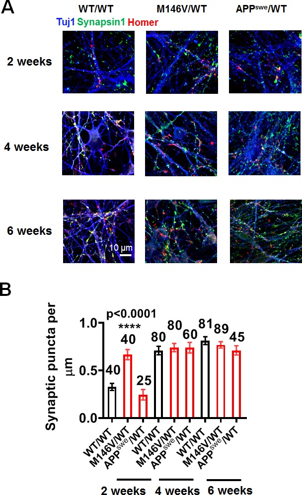 Figure 3—figure supplement 2.