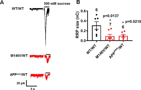 Figure 4—figure supplement 2.