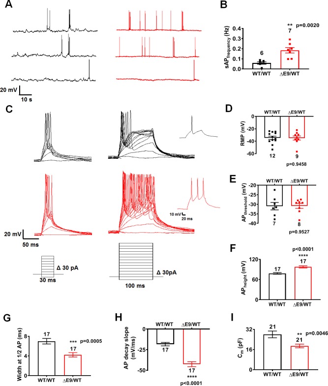 Figure 1—figure supplement 2.