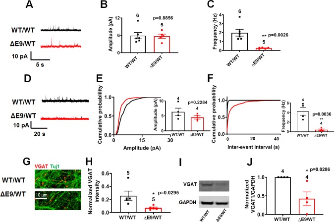 Figure 5—figure supplement 2.