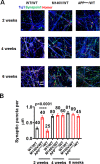 Figure 3—figure supplement 2.