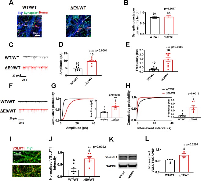 Figure 4—figure supplement 1.