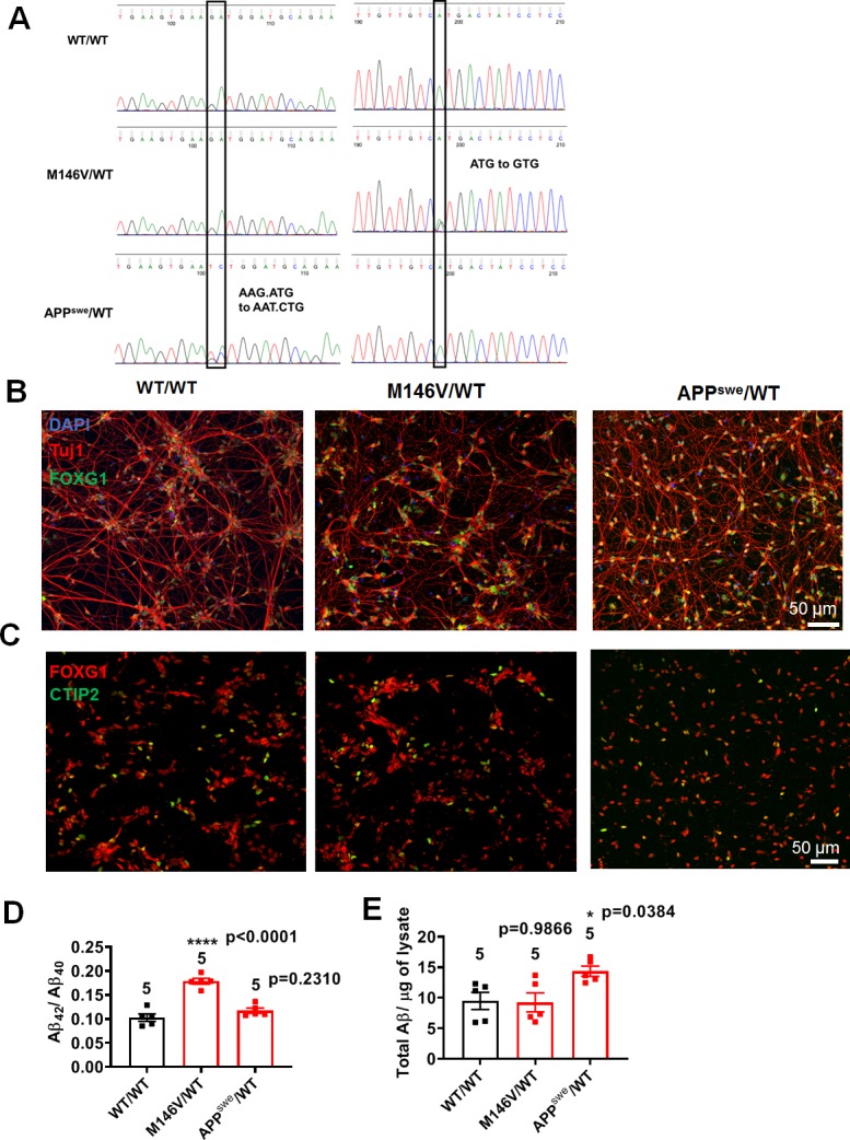 Figure 1—figure supplement 1.