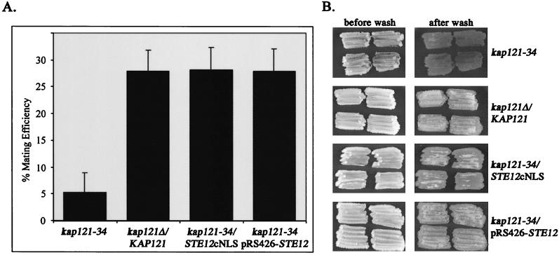 FIG. 8.