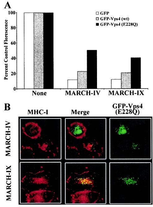 FIG. 8.