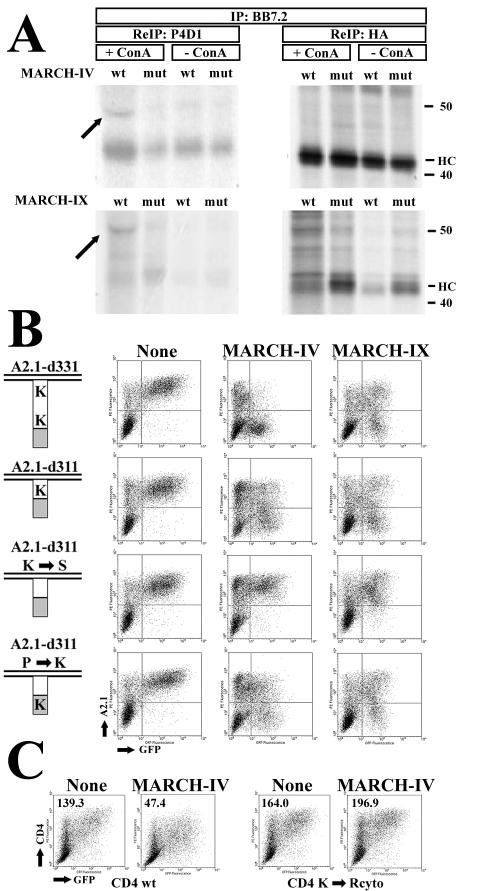 FIG. 9.