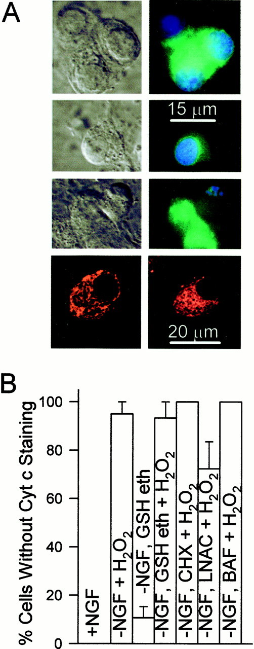 Fig. 9.