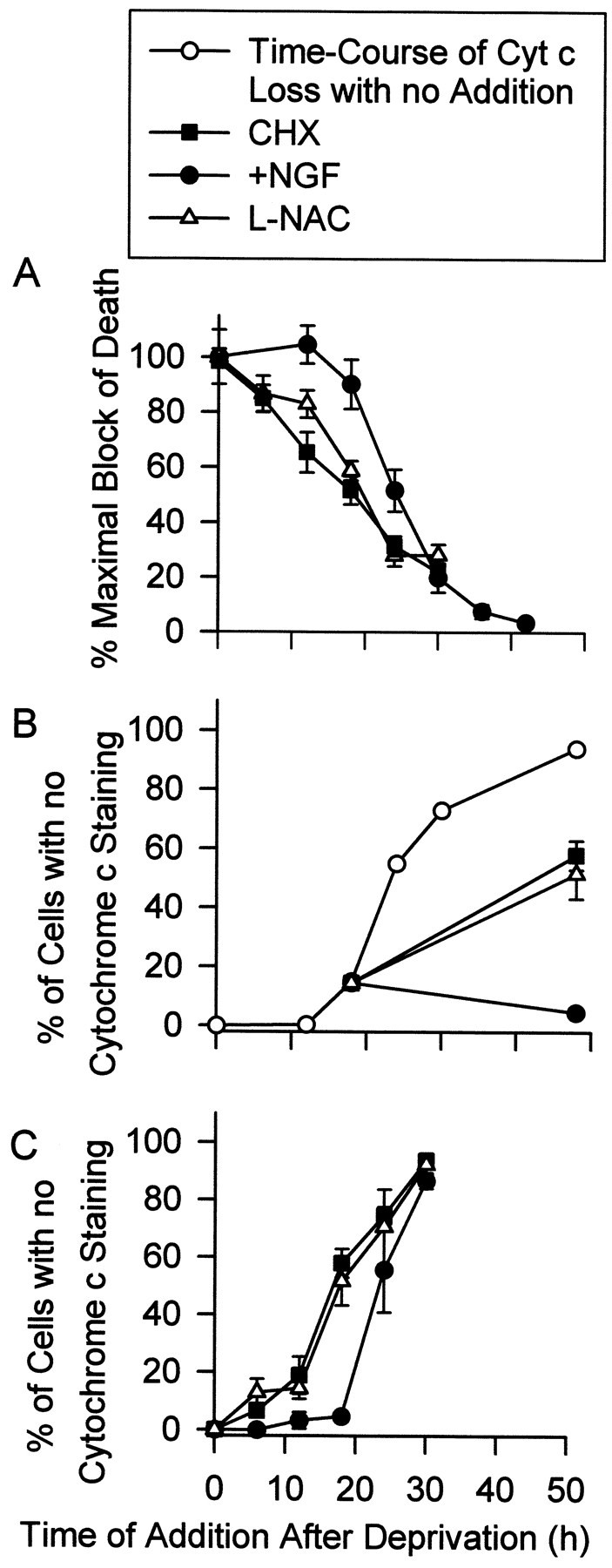 Fig. 10.