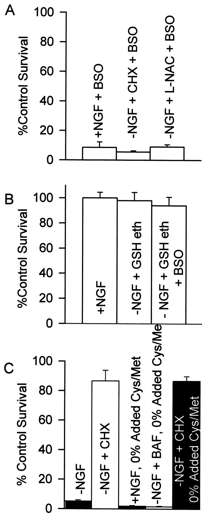 Fig. 8.