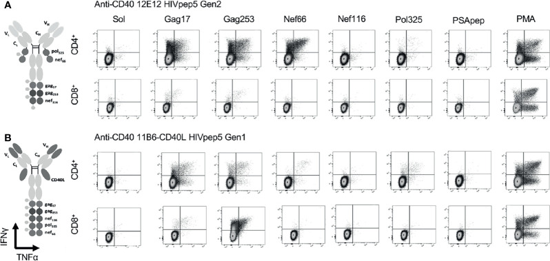 Figure 5