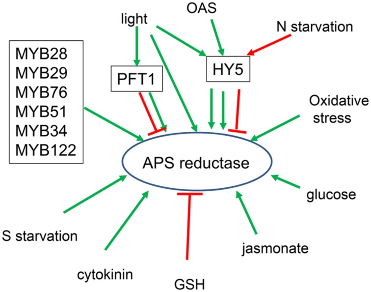 FIGURE 3