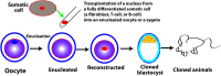 <b>FIG. 2.</b>