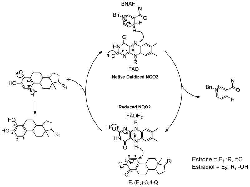 Scheme 2