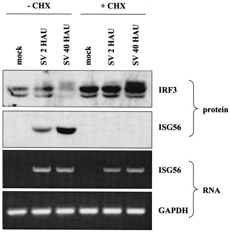 FIG. 7.