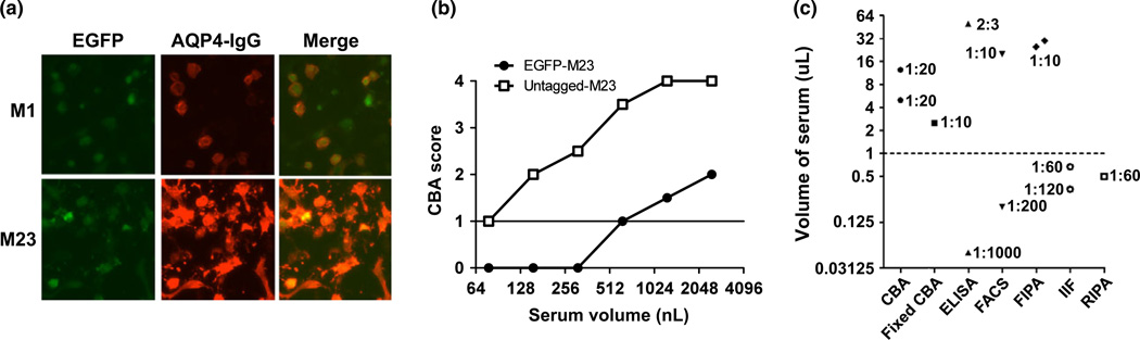 Figure 6