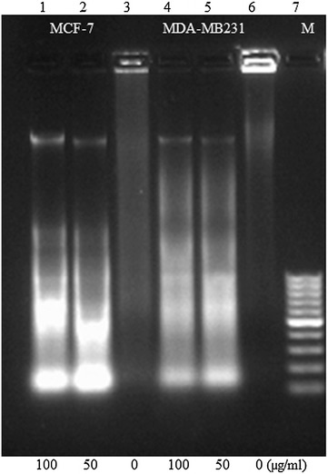 Fig. 7