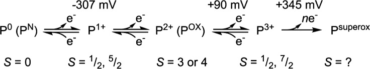 Figure 27