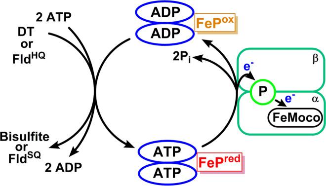 Figure 20