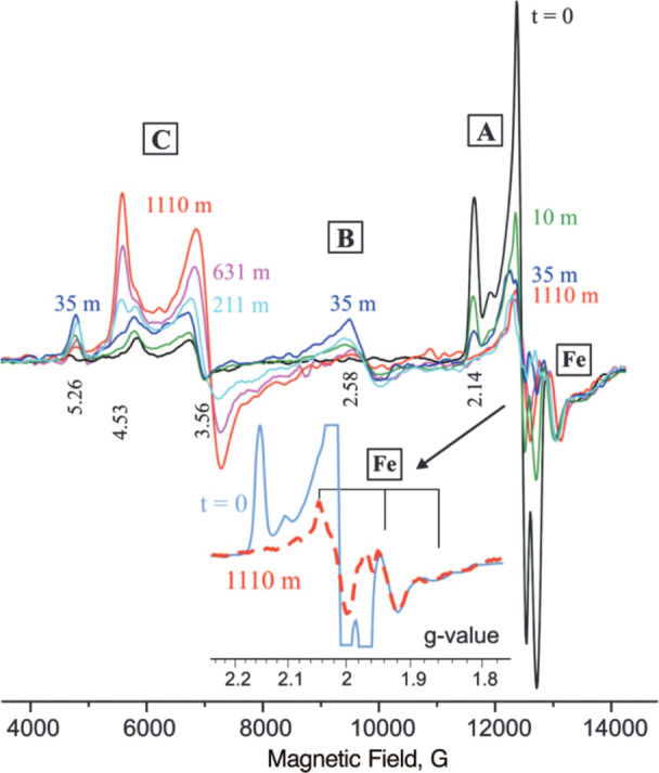 Figure 34