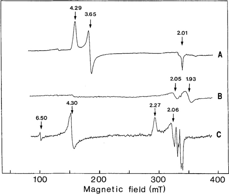 Figure 54