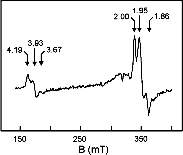 Figure 55