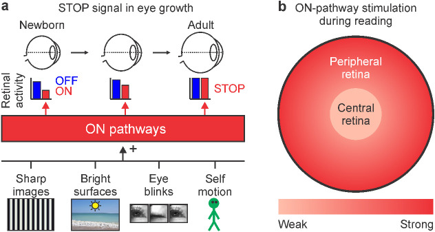 Figure 10.