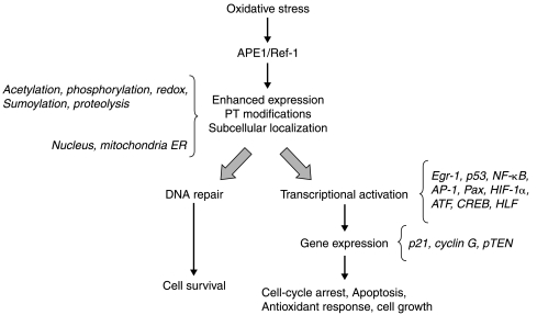 FIG. 6.