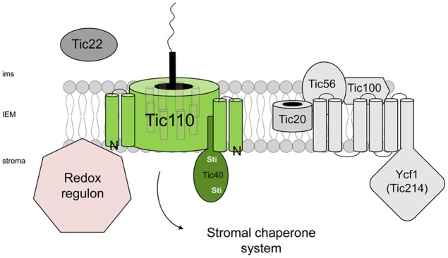 FIGURE 2