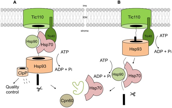 FIGURE 3