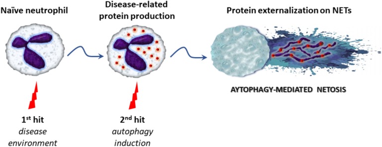 FIGURE 2