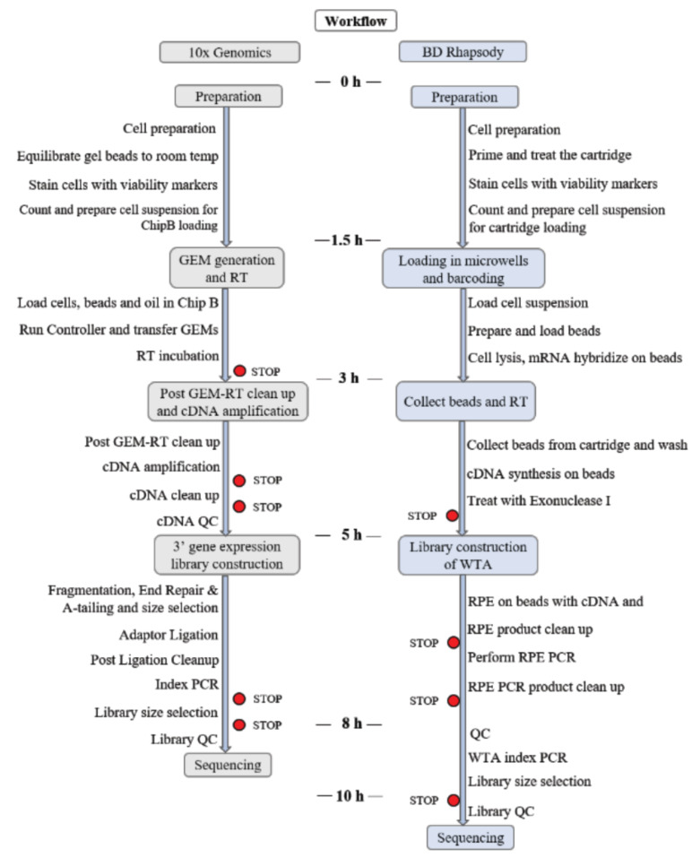 Fig. (1)