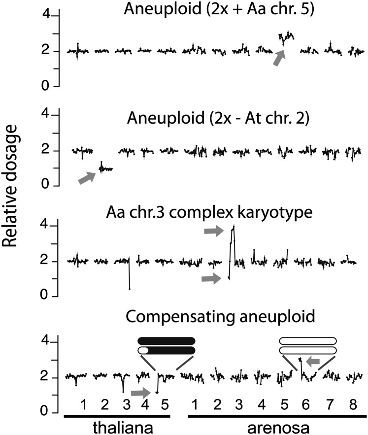 Figure 6.