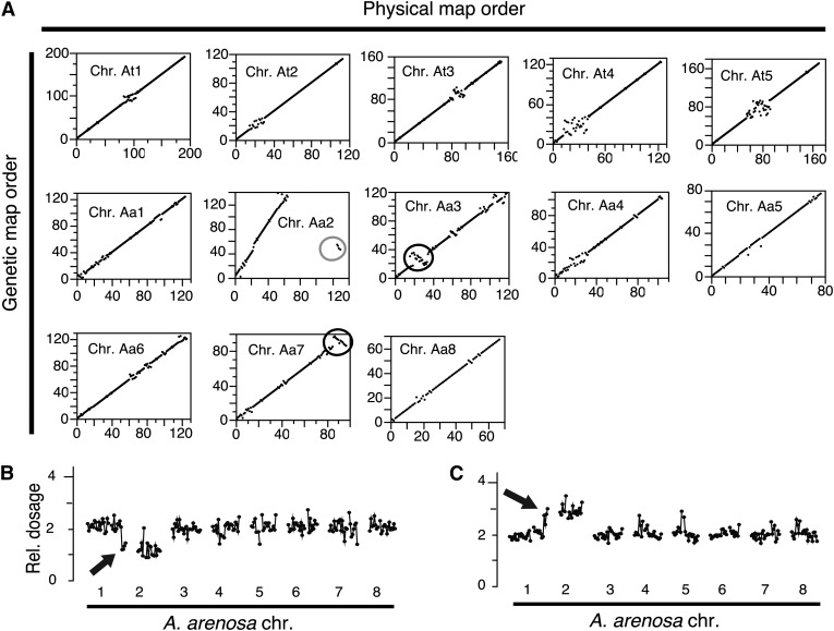 Figure 7.