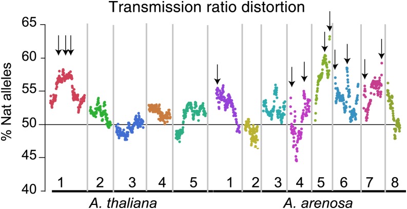 Figure 5.