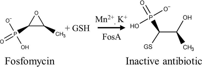 FIG 1