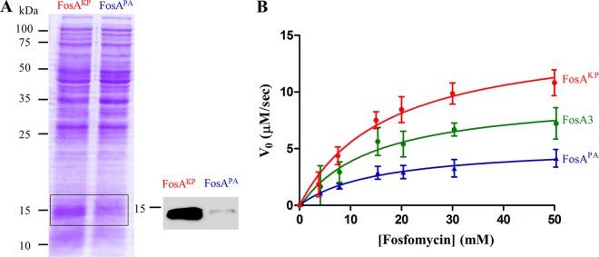 FIG 2