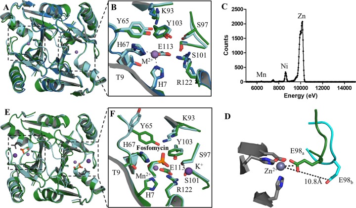 FIG 3