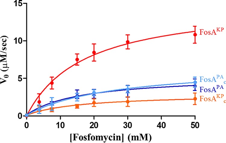 FIG 6