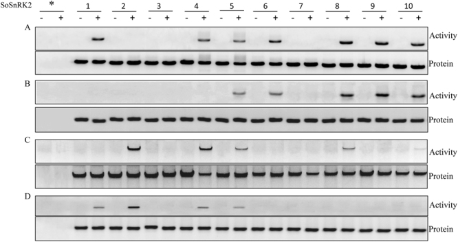 Figure 9