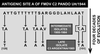 Figure 7.5